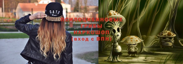 твердый Иннополис