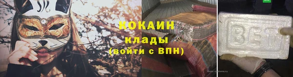 хмурый Инта