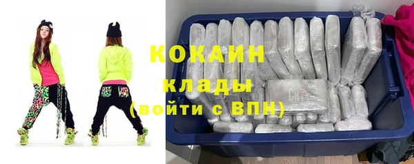 хмурый Инта