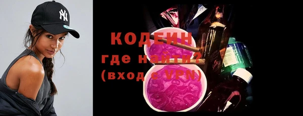 твердый Иннополис