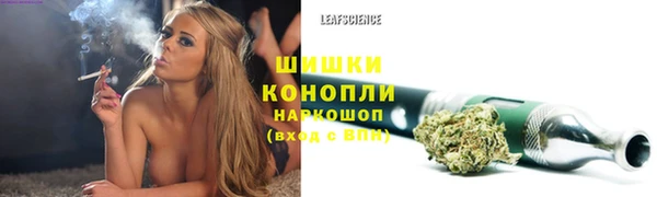 твердый Иннополис