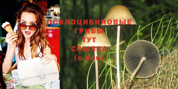 марки lsd Инсар