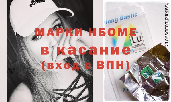 хмурый Инта