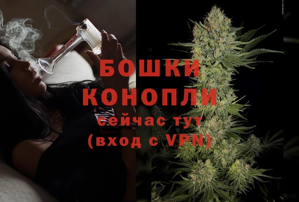 твердый Иннополис