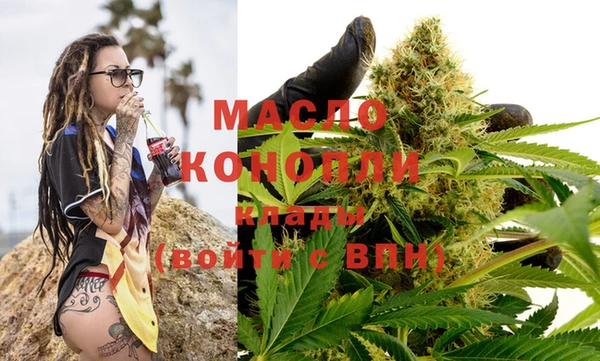 хмурый Инта