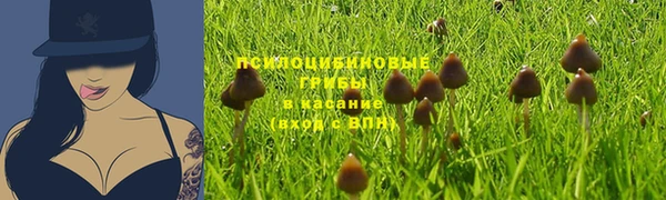 твердый Иннополис
