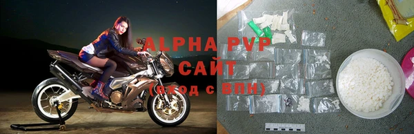 хмурый Инта