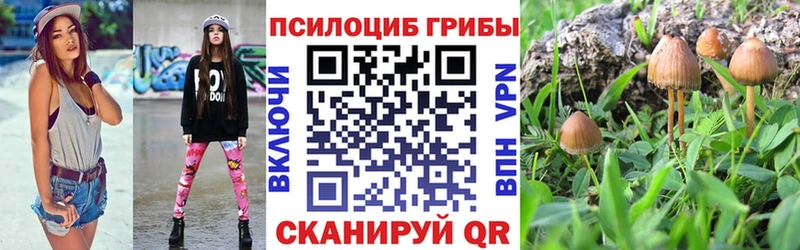 Галлюциногенные грибы ЛСД  Купить закладки  Николаевск-на-Амуре 